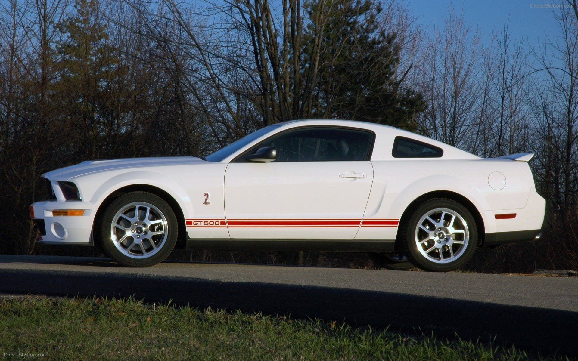 Ford Shelby Cobra GT500 Red Stripe